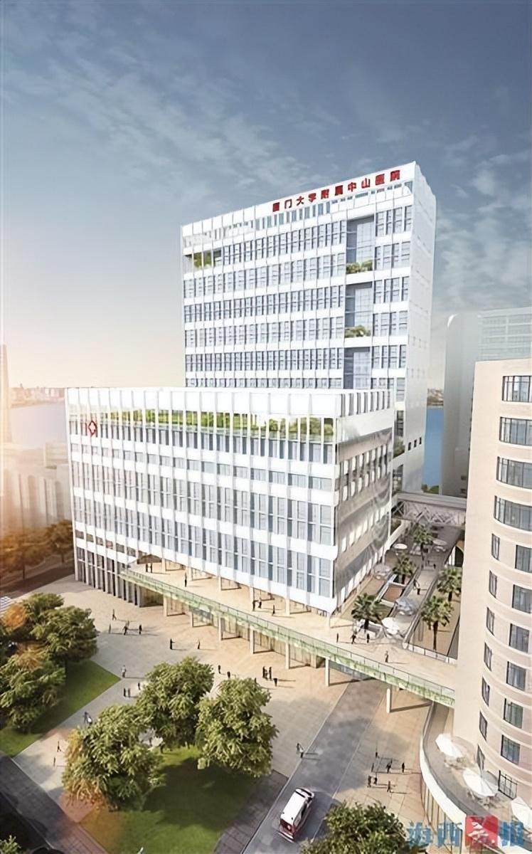 新門內部資料精準大全，更新章節列表與深度解析