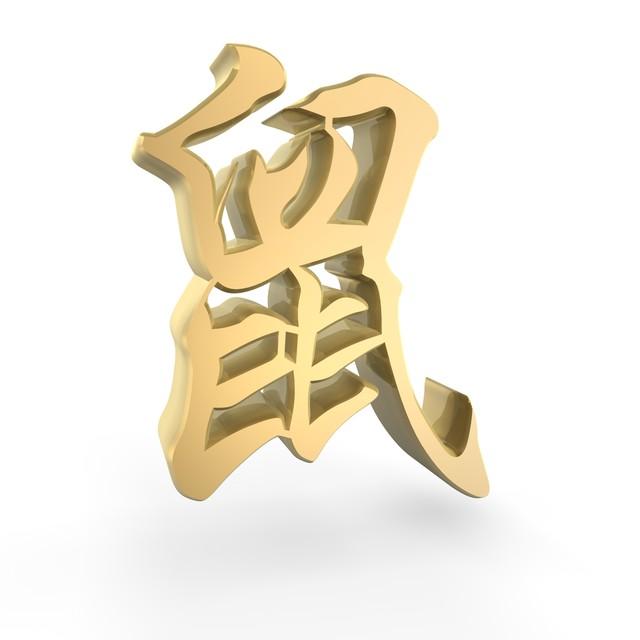 探索未來之門，2024全年資料免費大全功能概覽