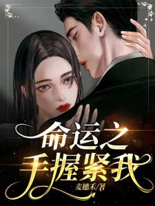 寧綺聶惟靳最新章節(jié)，命運交織的綺夢與深淵