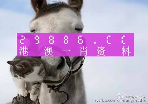 今晚必中一肖一碼四不像——警惕背后的違法犯罪問(wèn)題