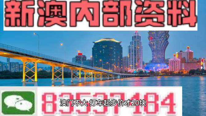 新澳門免費(fèi)資料大全在線查看，探索與體驗(yàn)
