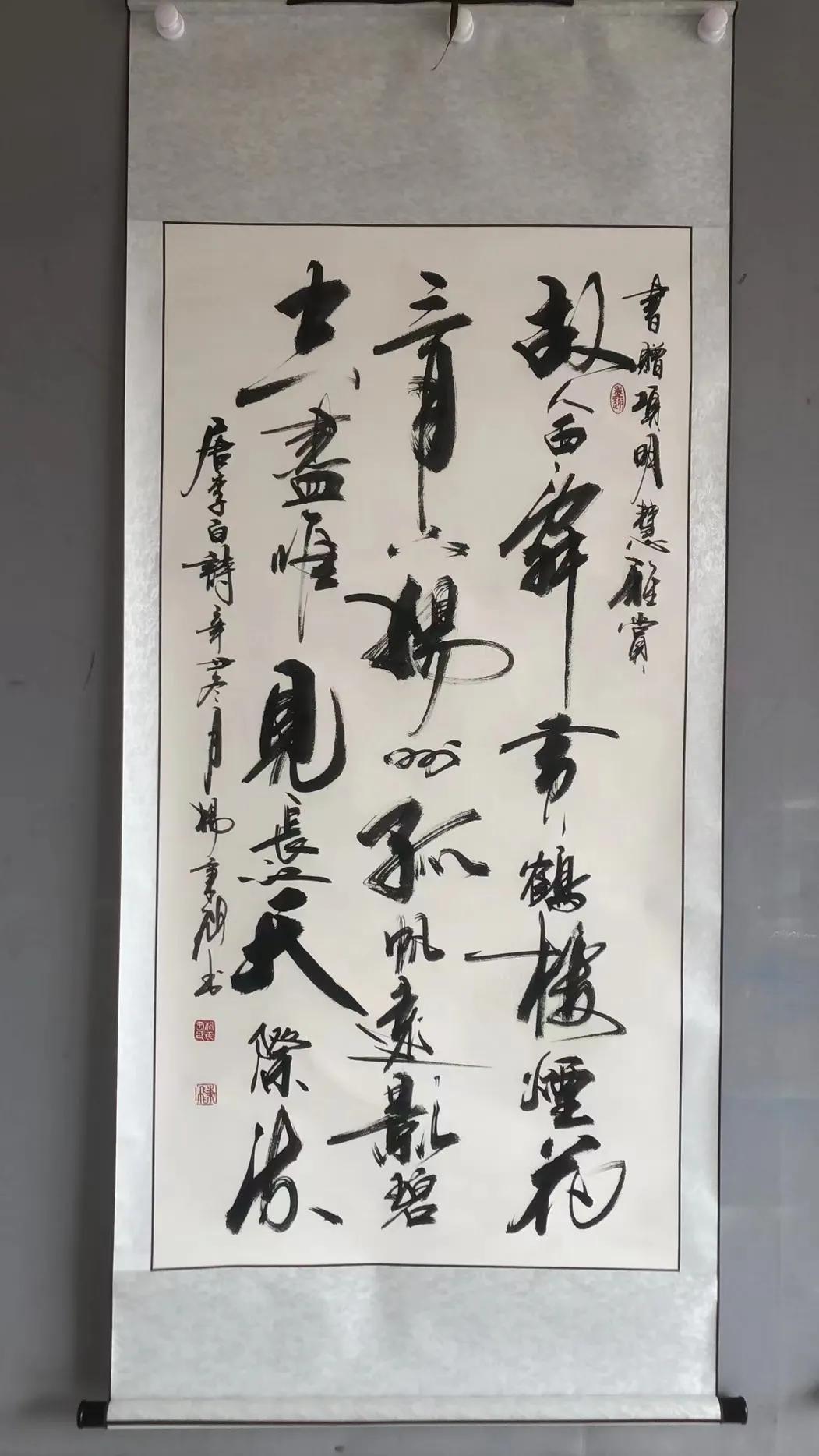 二四六天天彩246cn，探索數字世界的無限魅力