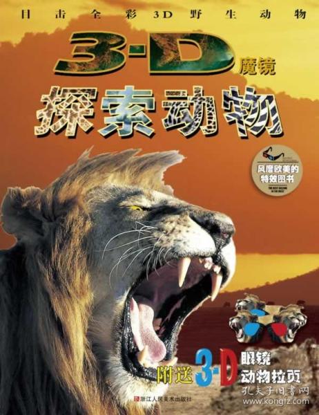 四不像正版與正版四不像一，探究正版與盜版之間的微妙差異