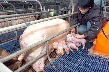 最新疾病消息及其影響