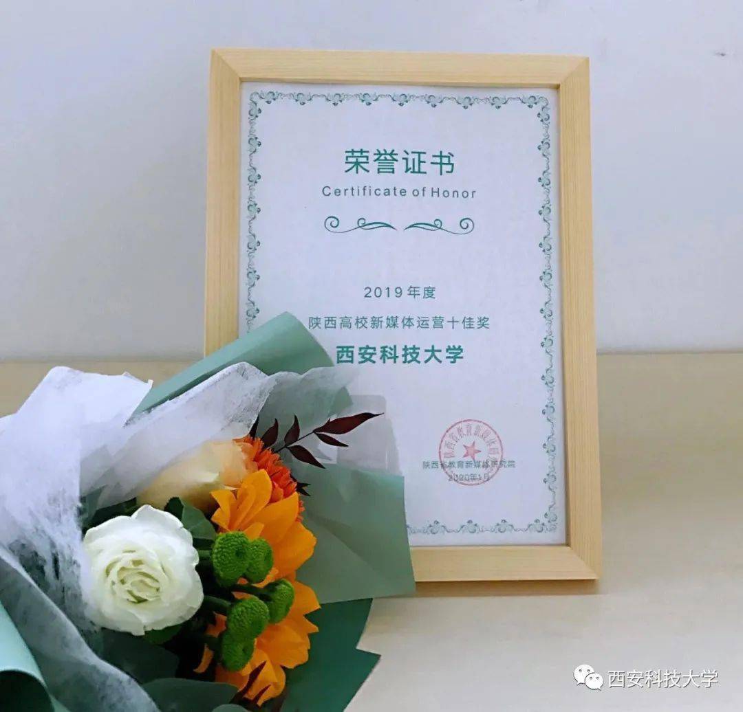 漢網最新報道，揭示社會熱點，聚焦時事動態
