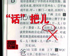 澳門三肖三碼精準與新華字典，犯罪行為的警示與探討