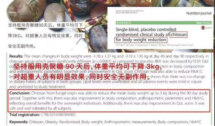 探索8383848484管家婆中的特別之處