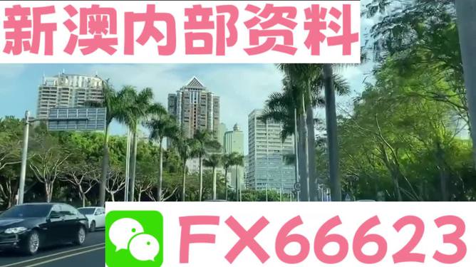 新澳精準(zhǔn)資料期期精準(zhǔn)背后的犯罪問題探討