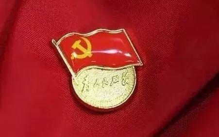 黨徽最新板，閃耀的徽章，時代的象征