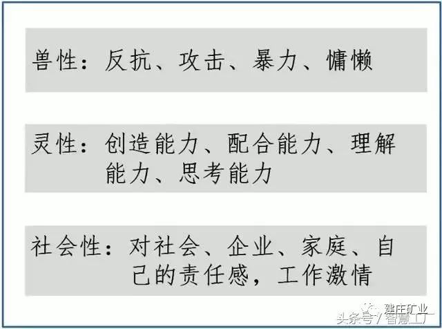 澳門今晚一肖必中特，力學釋義解釋落實與違法犯罪問題探討