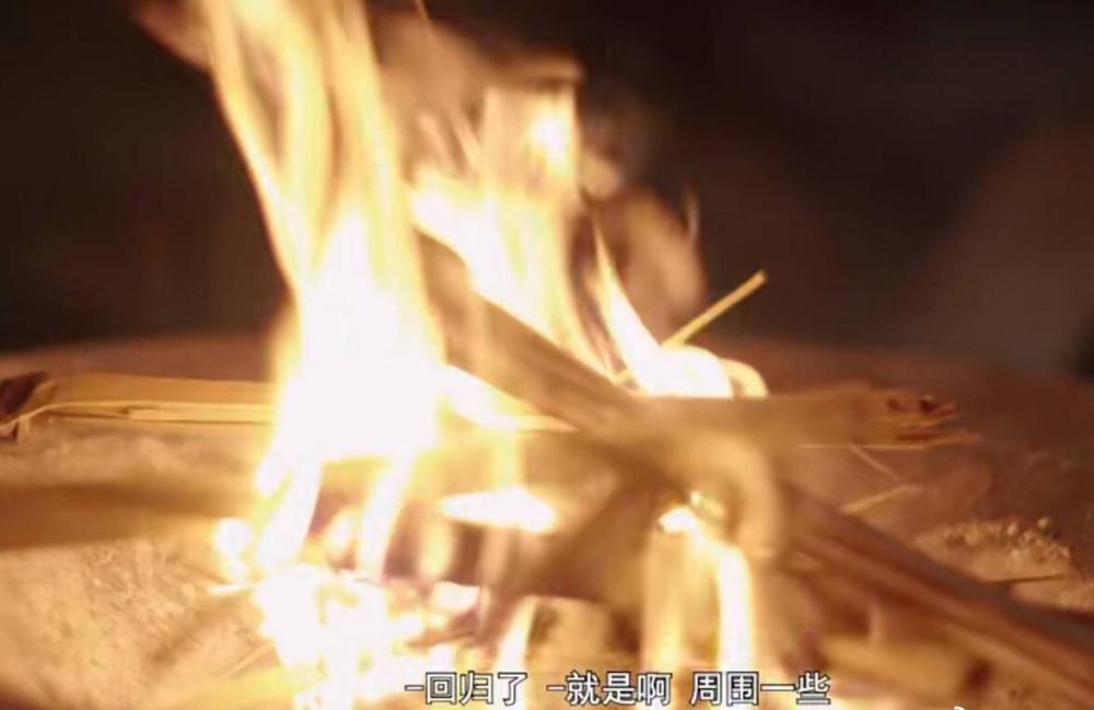 一碼一肖，揭秘精準預測背后的犯罪風險與應對之道