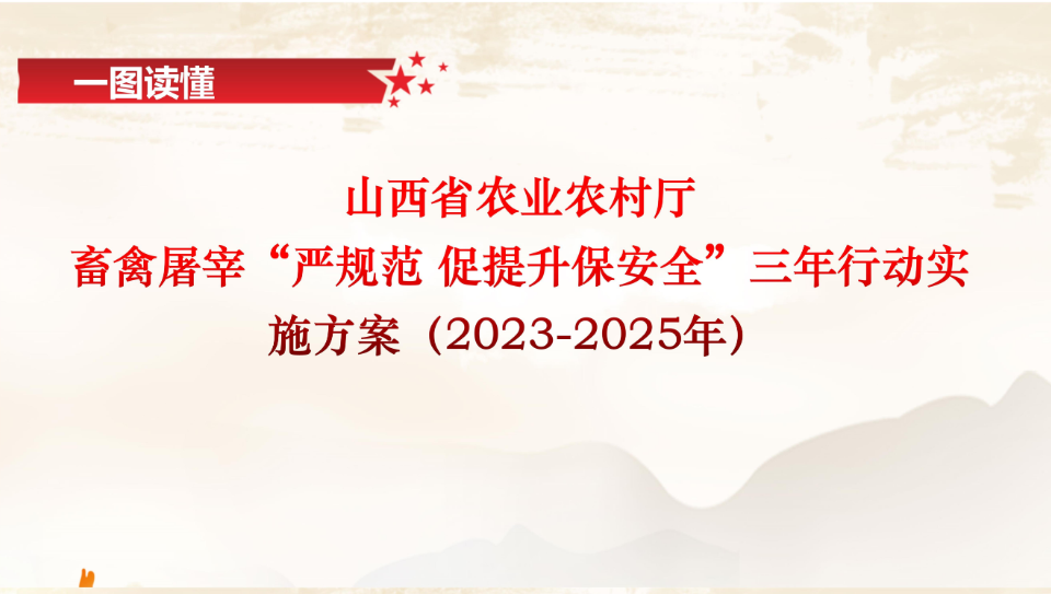 解析與落實策略，關于一肖一碼一中一特的謀略釋義與行動指南（2024年）