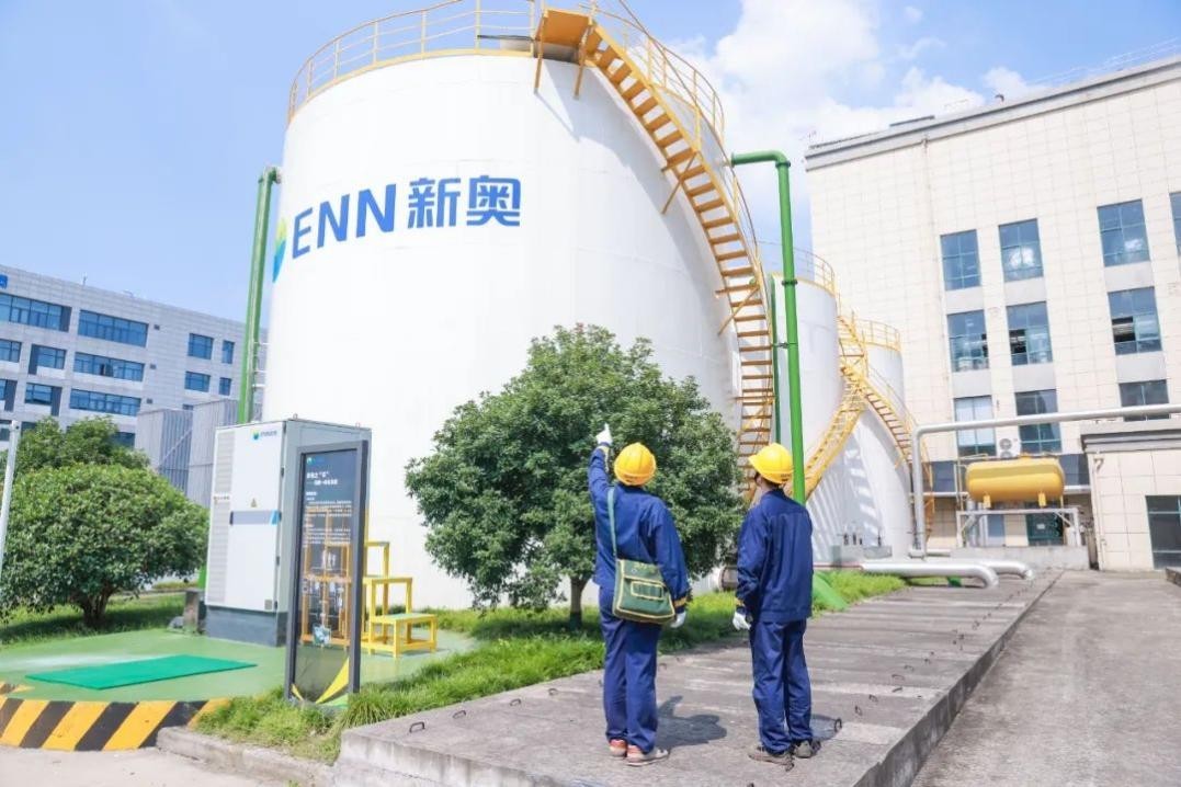 新奧天天正版資料大全，自我釋義、解釋與落實