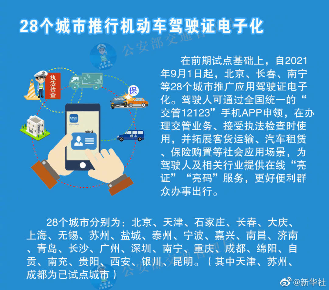 揭秘新澳2024最準的免費資料，目標釋義、解釋與落實策略