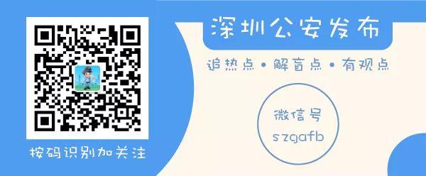 一肖一碼一一肖一子在深圳，實施釋義解釋落實的深入探究