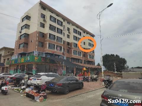 單縣最新房子出租信息概覽
