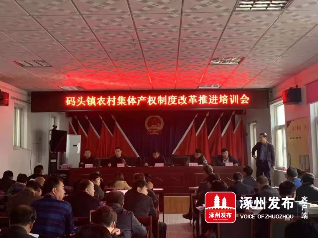 涿州市孫莊鄉最新動態