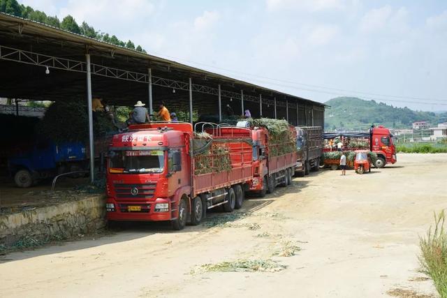 最新招道路標線推車手，行業趨勢與職業發展之路