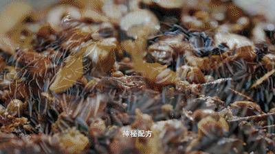 恰似你的溫柔最新章節，情感深處的微妙變化