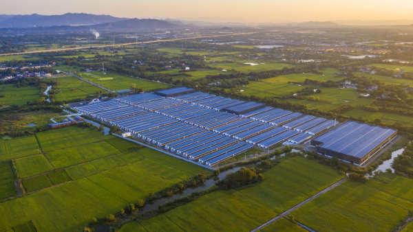 長興新聞網最新消息，引領地方新聞發展的風向標