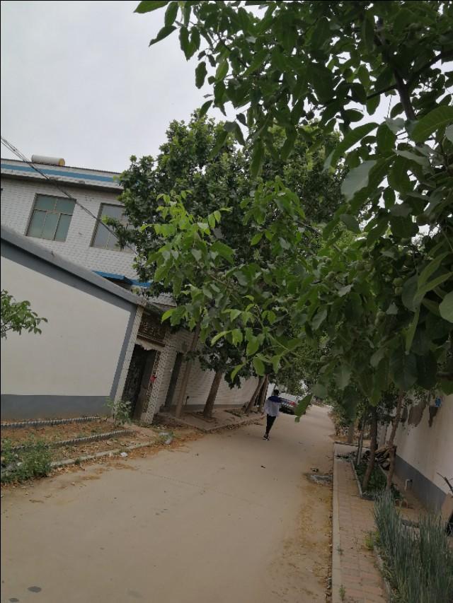 美尚生態股票最新消息深度解析