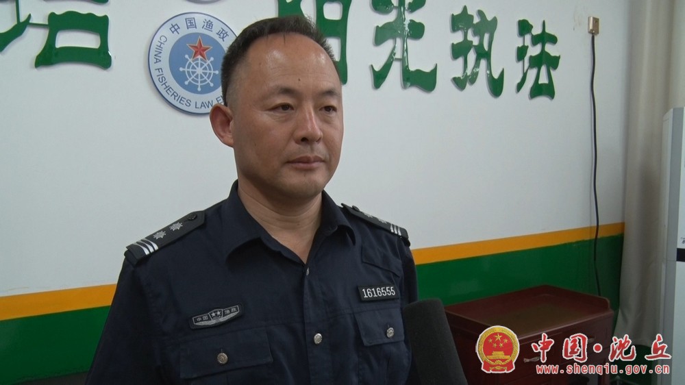 河南沈丘縣最新房價動態分析