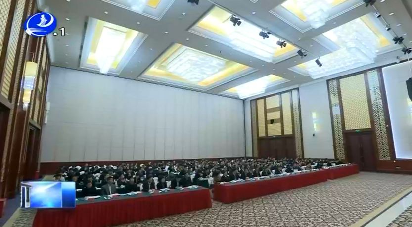 上海市委副秘書長最新動態，推動城市高質量發展與深化改革開放的新篇章