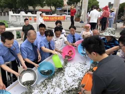 湖州市和孚地區最新房價動態與趨勢分析