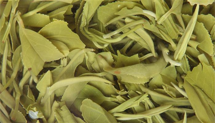億健茶業(yè)上市最新消息，邁向資本市場的茶葉巨頭迎來嶄新篇章
