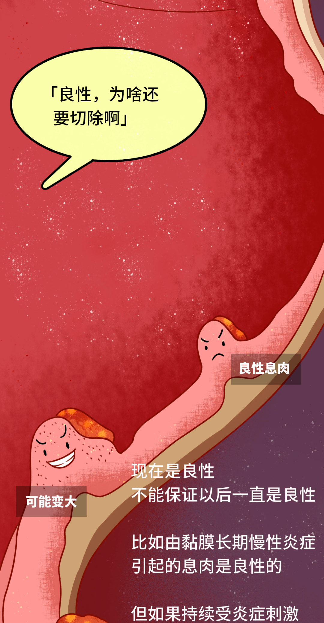 北侖最新交通事故，原因、影響與預防措施