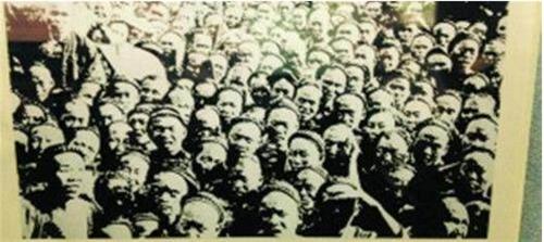 新型豬流感情最新消息，探索與研究