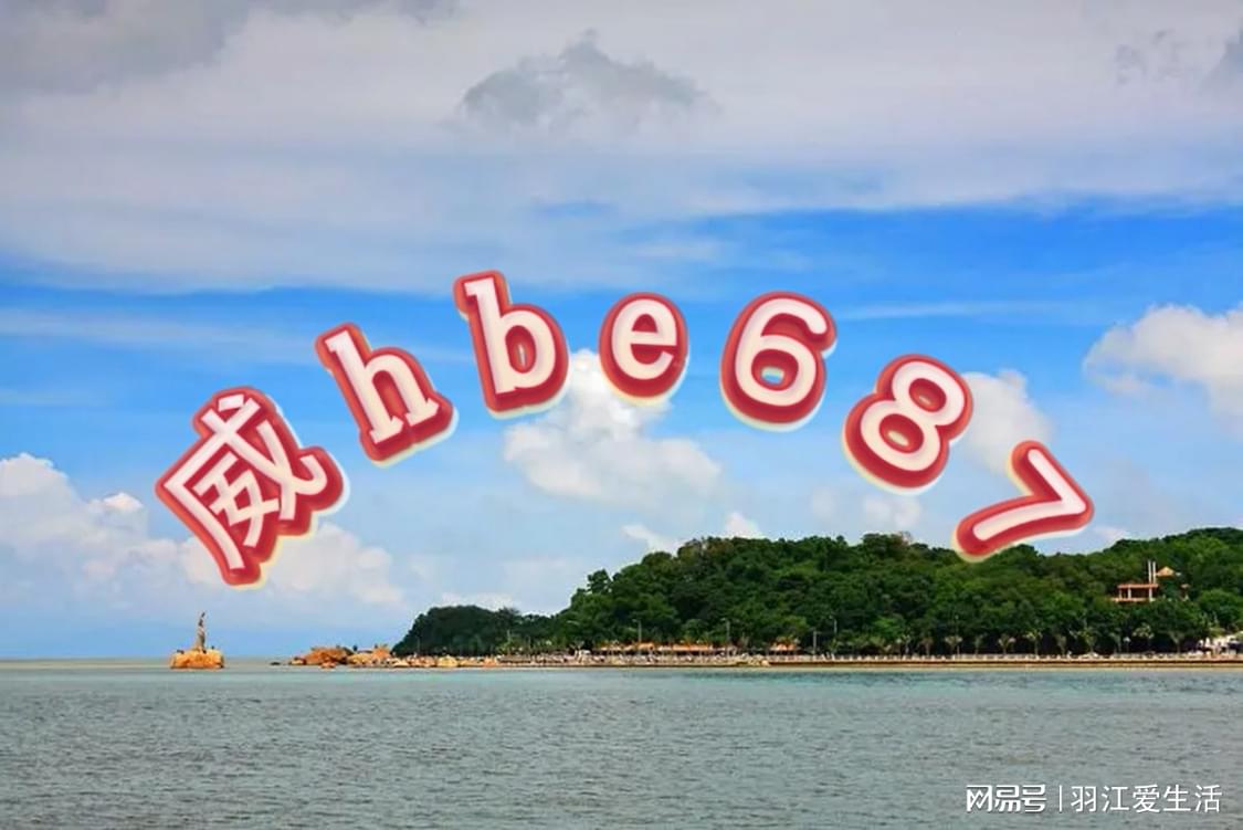 新奧正版資料大全與最新答案解釋落實詳解