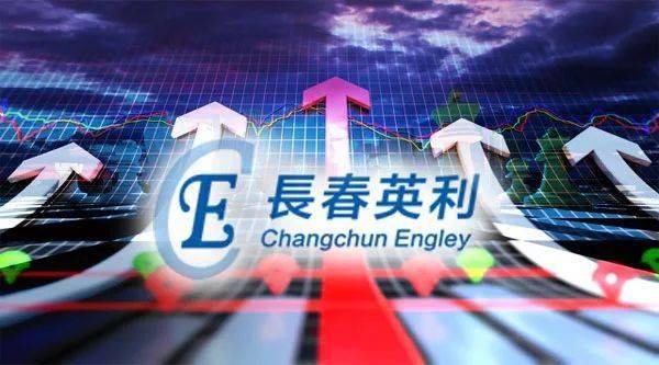 澳門天天免費精準大全，警惕背后的風險與挑戰