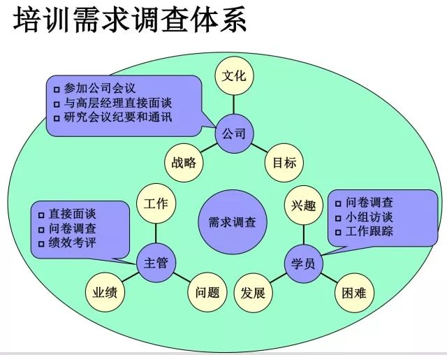 揭秘新奧天天精準資料大全，最新答案解釋與落實策略