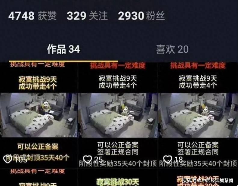 警惕虛假博彩陷阱，解析新澳門天天開好彩背后的風險與挑戰