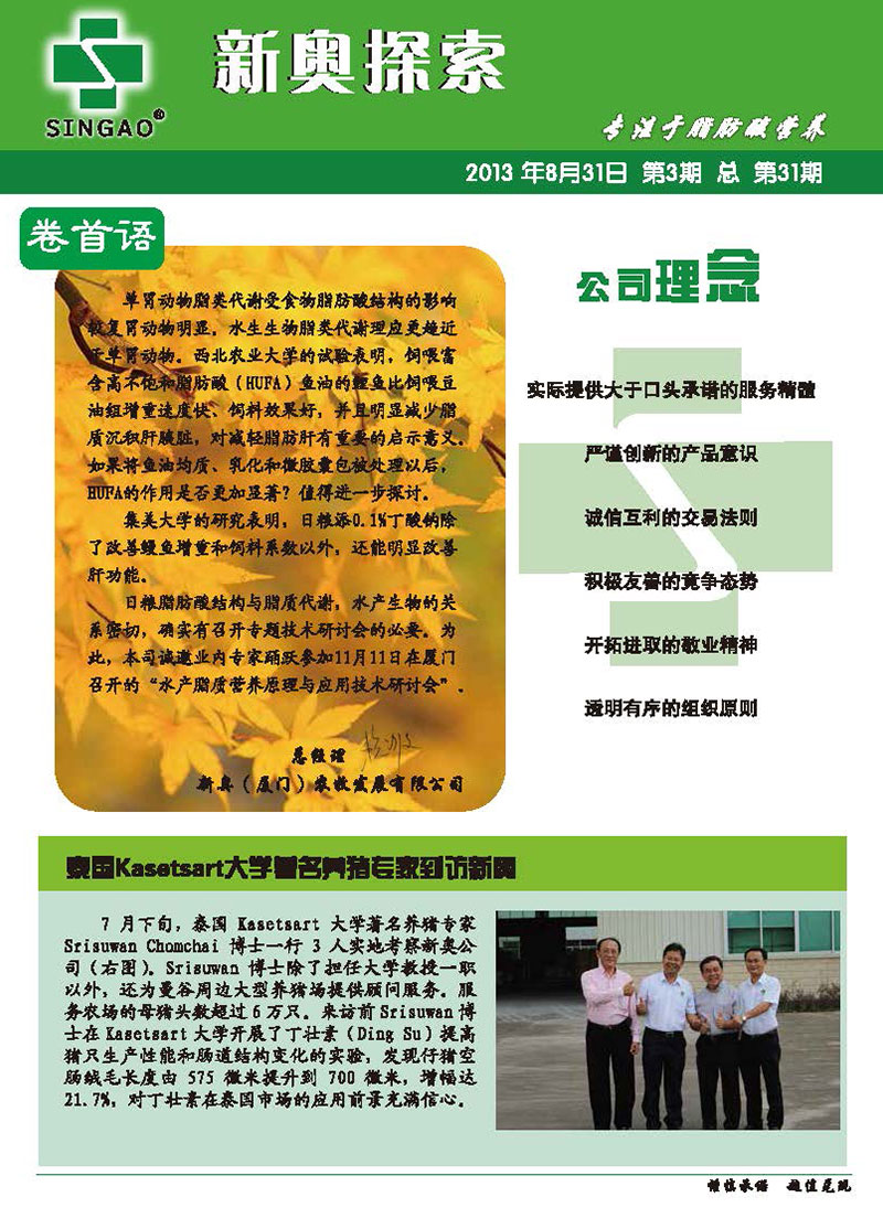 揭秘新奧最佳免費資料，最新答案解釋與落實行動指南（附詳細指南）