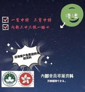 一肖一碼，揭秘精準(zhǔn)資料的神秘面紗與最新答案解釋落實