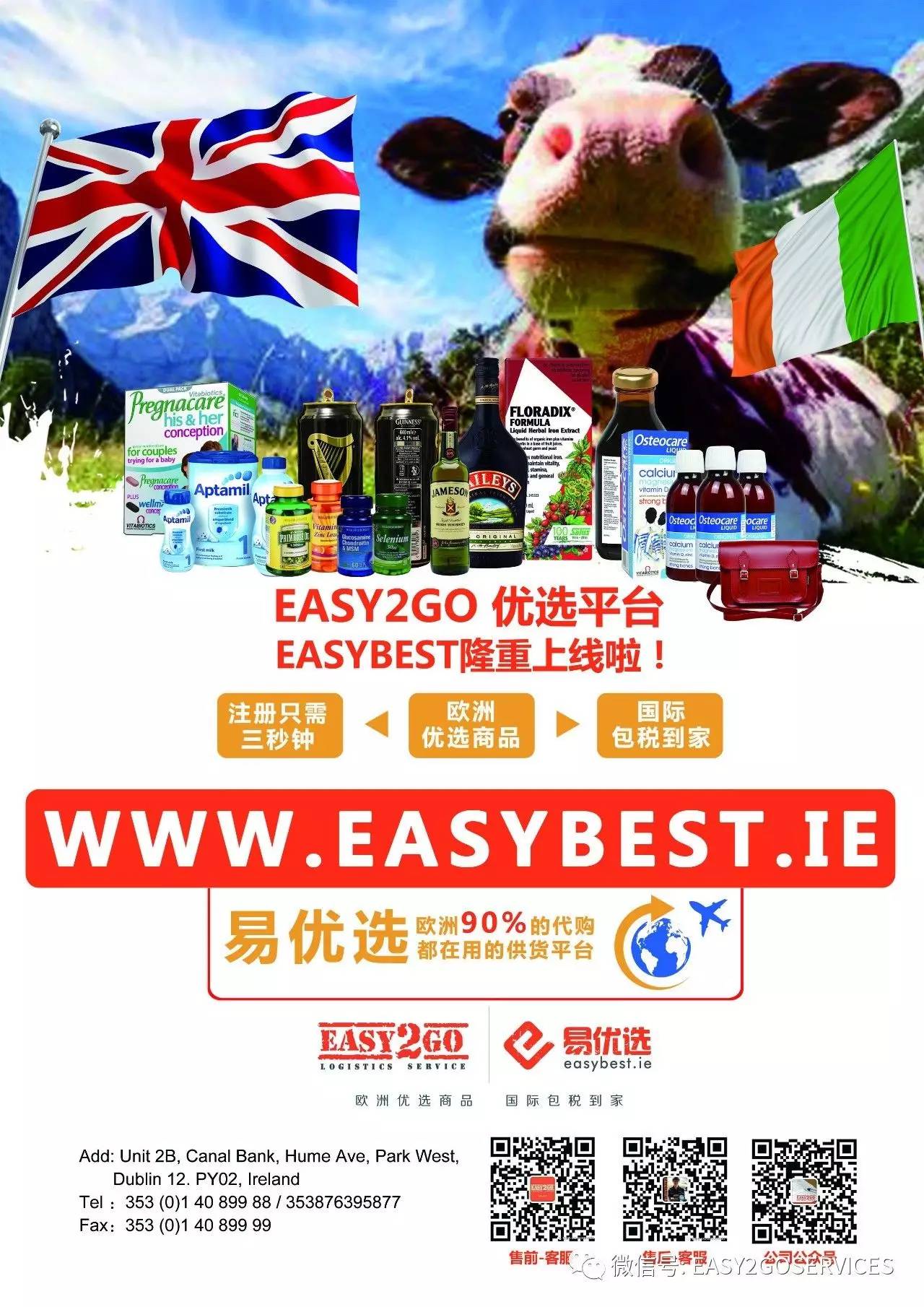 王中王資料大全及最新使用教程，全面解析與實戰指南