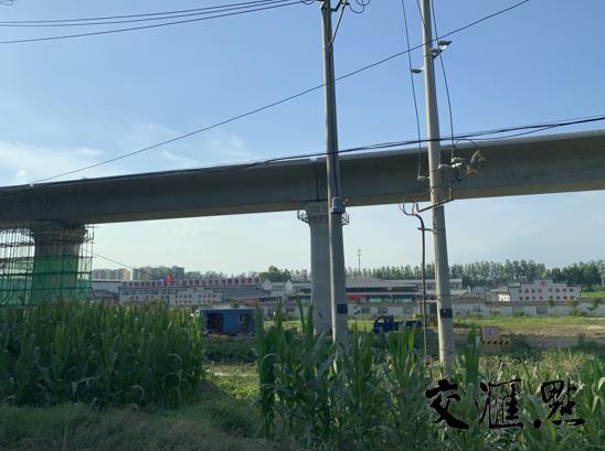 邳州市最新招小時工信息