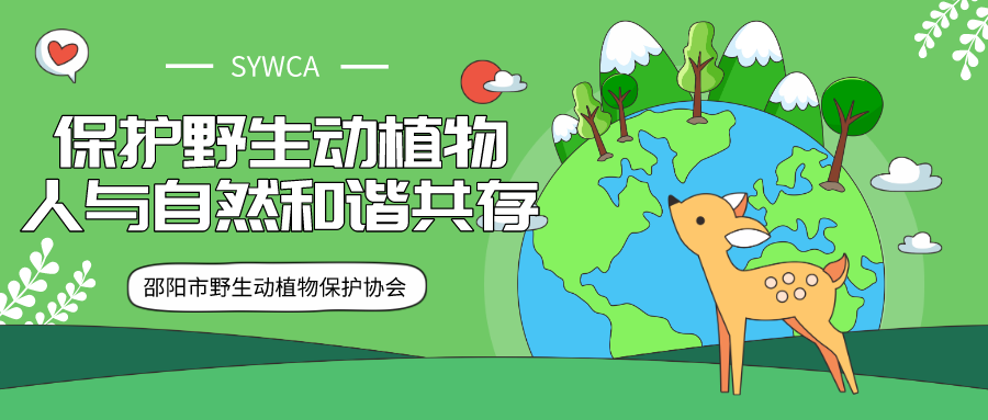 最新野生動物保護條例，重塑人與自然的和諧共生