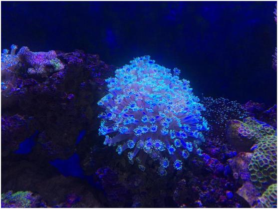我的世界最新版的游戲，探索與創新的奇妙世界