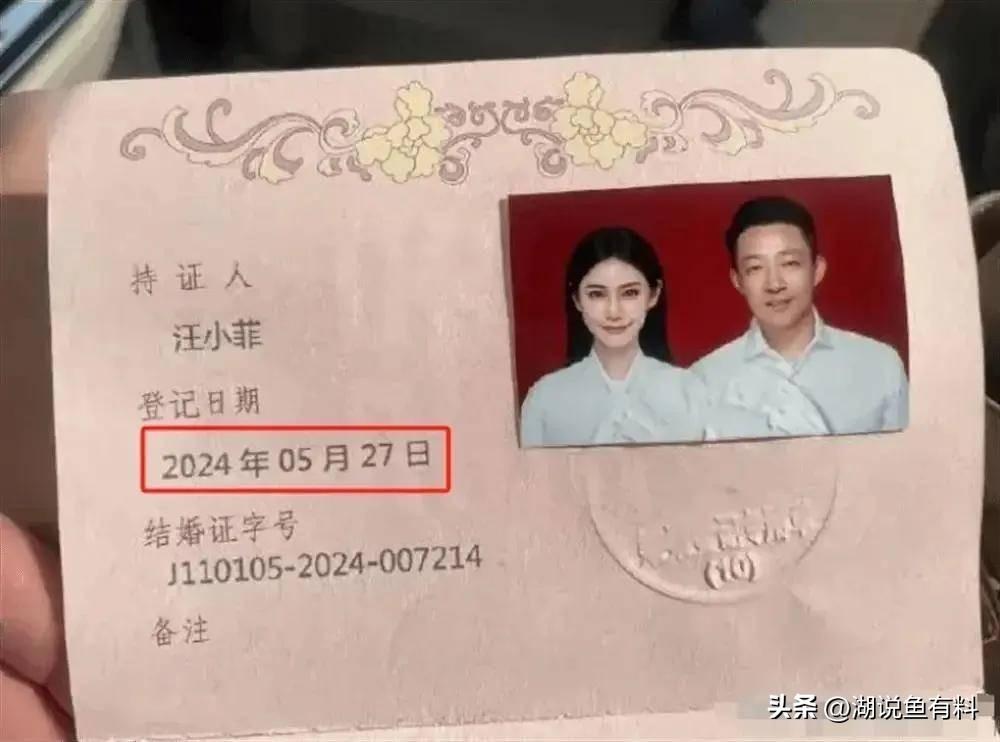 閃婚愛妻小說最新章節，命運的邂逅與愛情的急速綻放