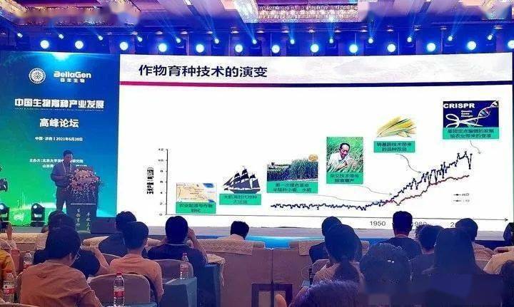 王澤若鴻 第3頁