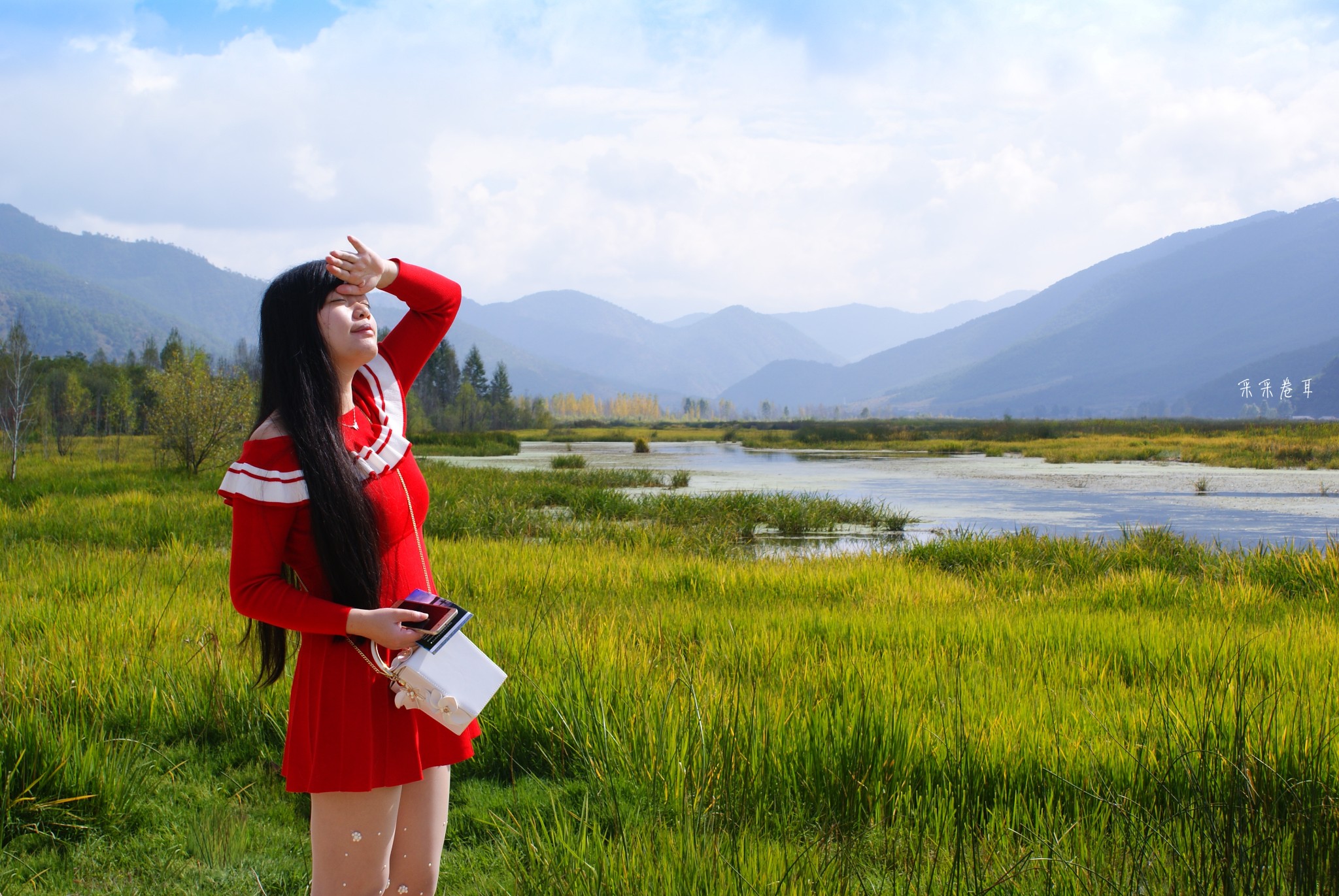 草裙論壇最新地址2015，探索與發(fā)現(xiàn)之旅