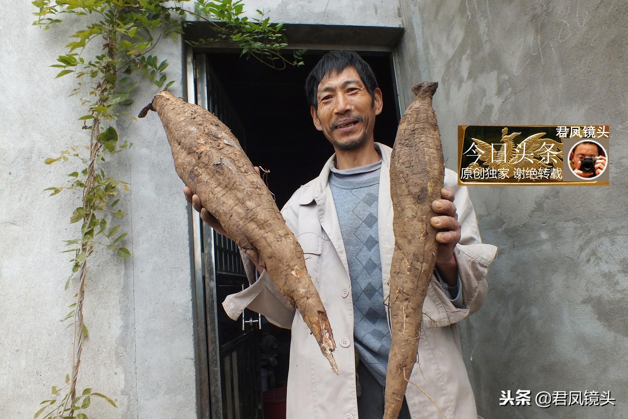 宜昌市龍泉鎮(zhèn)最新規(guī)劃，塑造未來(lái)城市新面貌