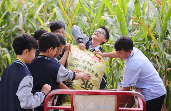 武陟二手小院最新出售——理想的居住選擇