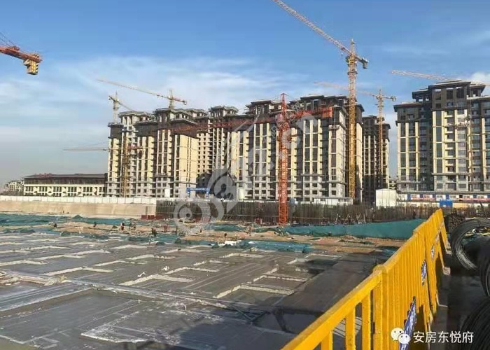 河東東悅府最新消息深度解析