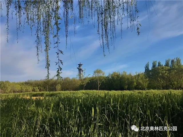 水立方停車場最新收費詳解
