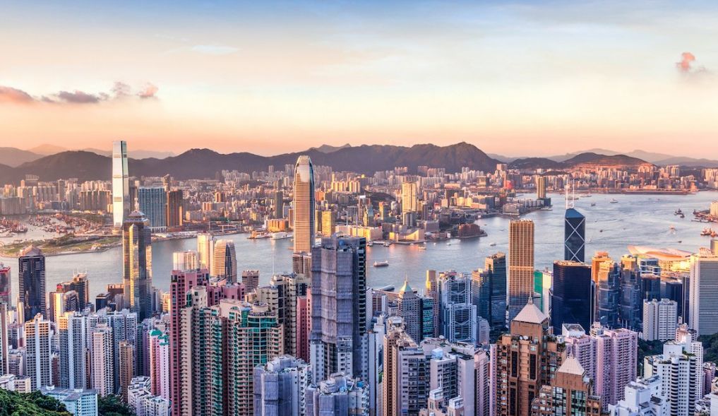 進賢后港洲最新消息全面解讀