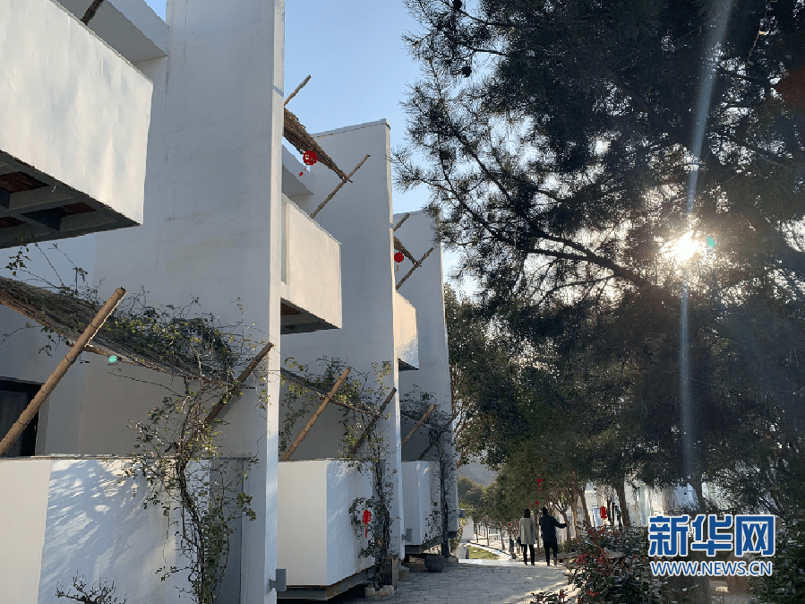 私攝光堂的最新地址，探索攝影藝術的魅力之旅